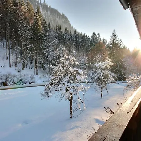 Appartement-3-chambres-8-couchages-wifi-montriond-chebourins Alpehytte Montriond